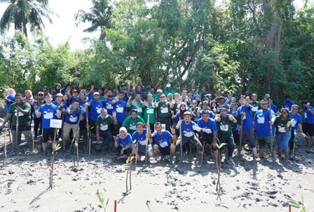 Mangrove planting