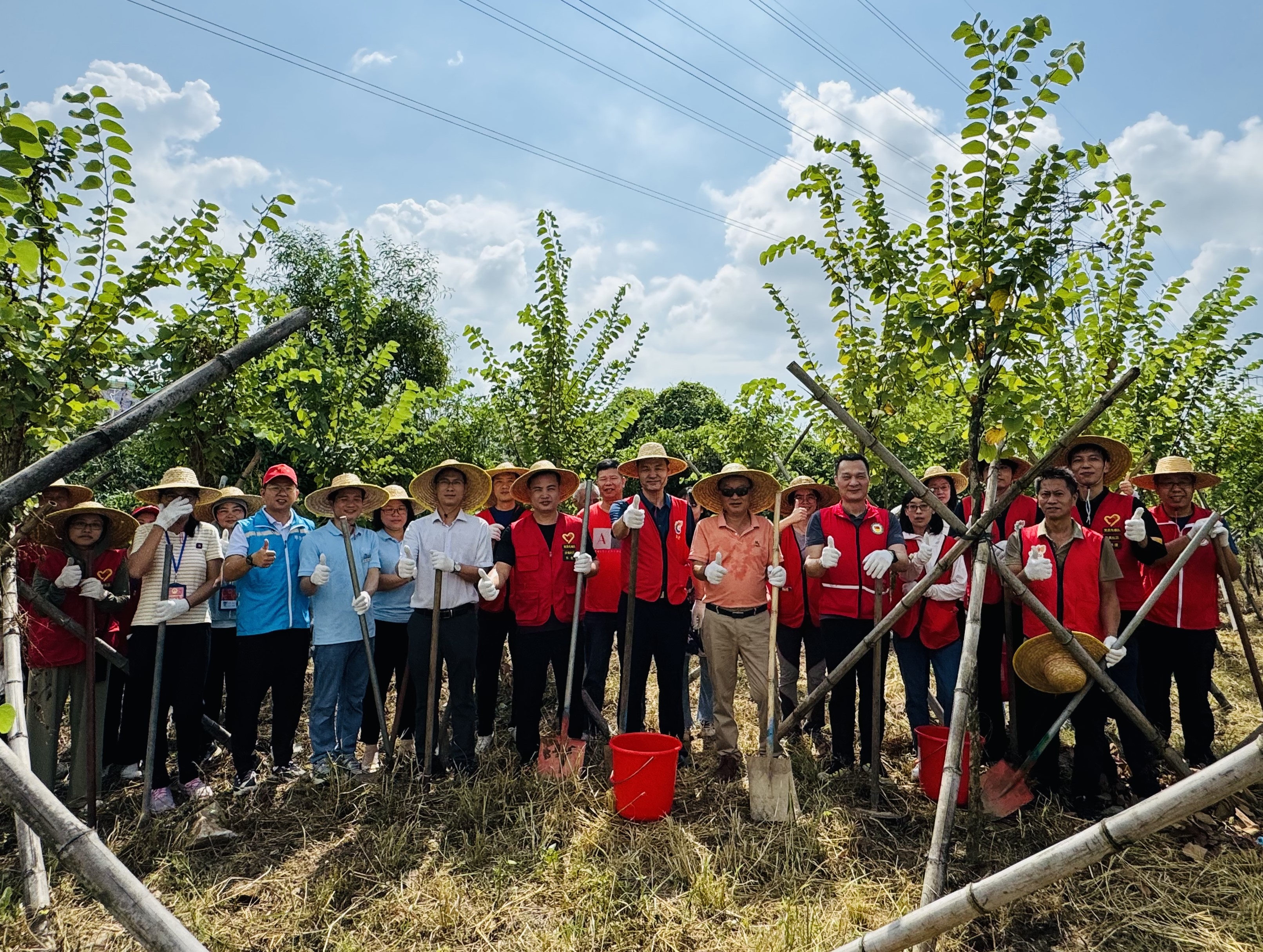 Tree-planting activities
