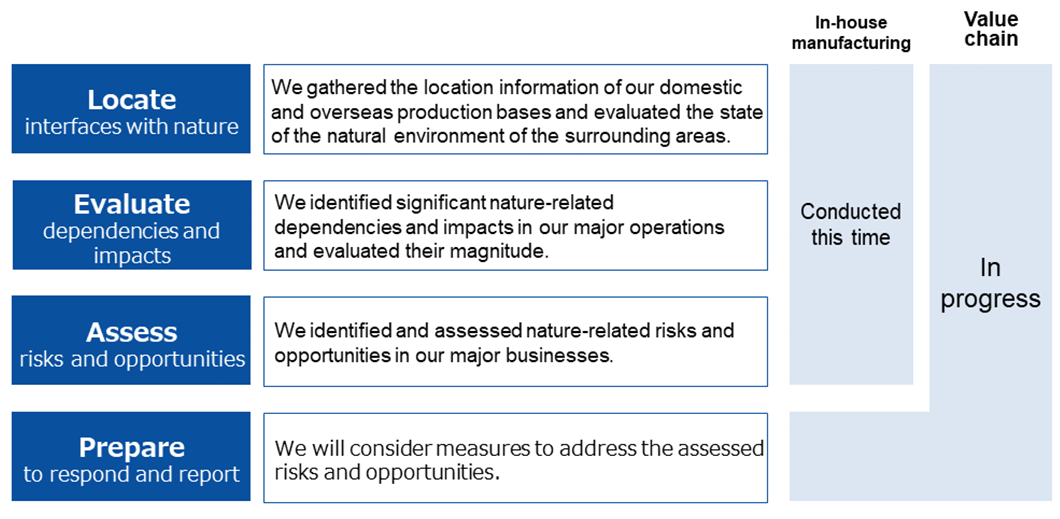 Evaluation Process Under the LEAP Approach