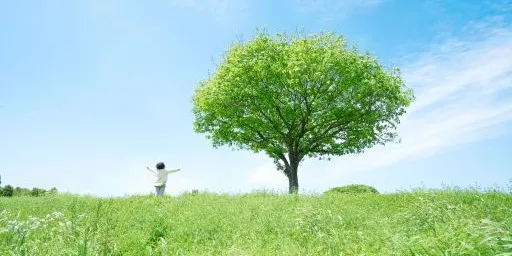 Basic Polices on Environmental Protection