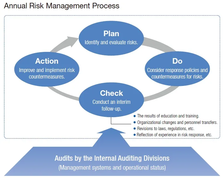 Annual Risk Management Process